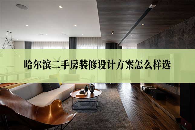 哈尔滨二手房装修设计方案怎么样选主图 哈尔滨二手房装修设计方案怎么样选